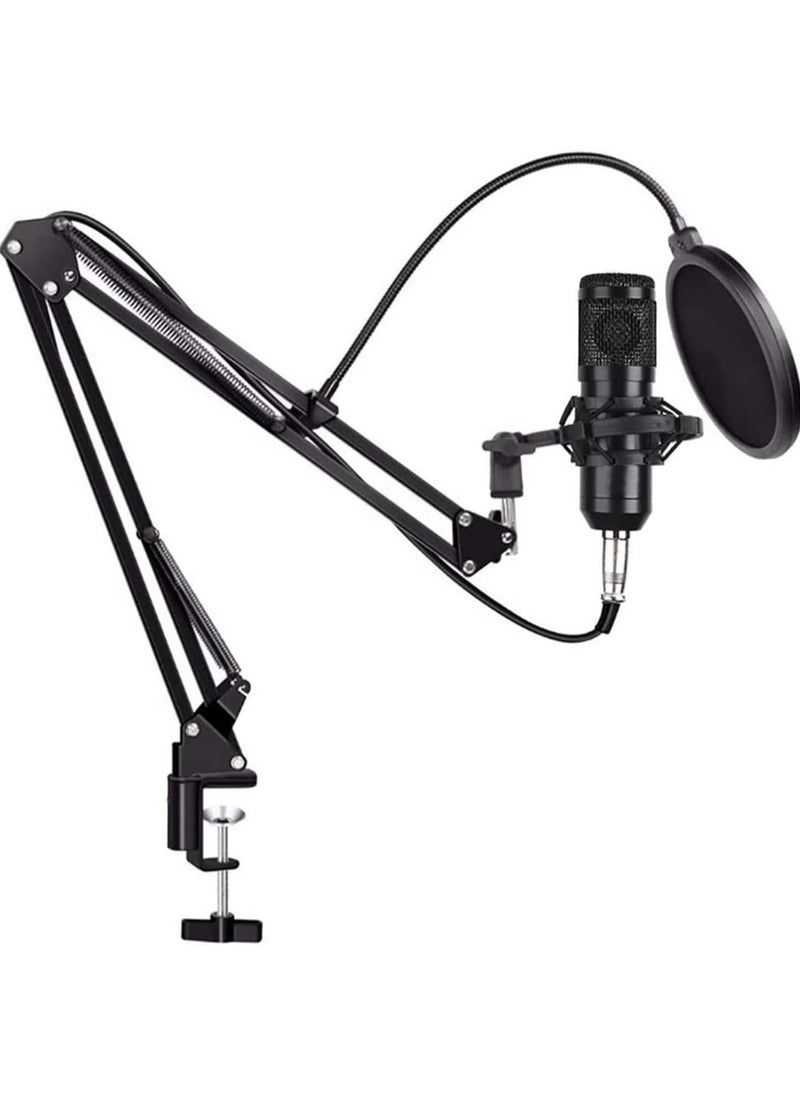 ELTRAZONE Beauenty for BM800 Professional Broadcasting Studio Recording Condenser Microphone Mic Kit with Sound card  - Image 2