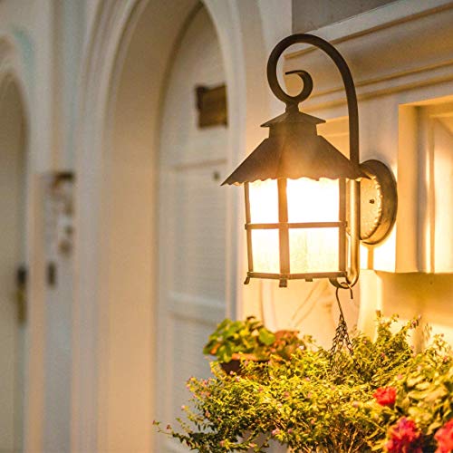 Lepro مصابيح LED 60 واط مكافئة، 9 واط 800 لومن غير قابلة للتعتيم، أبيض دافئ ناعم 2700 كيلفن، A19 E26 قاعدة متوسطة قياسية، عمر 10000 ساعة 5 قطع (عبوة من 1) - Image 3