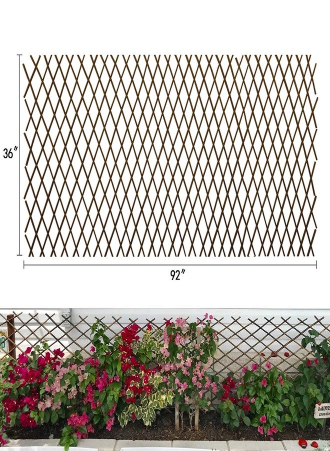 LANDGARDEN دعامة نباتية قابلة للتمديد من جاردن لاند، مصنوعة من خشب الصفصاف، مناسبة للنباتات المتسلقة مثل الكرمة واللبلاب والورد والخيار والكليماتيس، مقاس 36 × 92 بوصة - Image 1