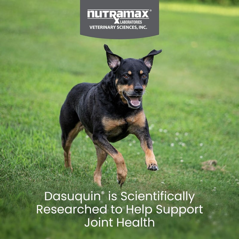 Nutramax Laboratories Nutramax Dasuquin Joint Health Supplement for Small to Medium Dogs - With Glucosamine, Chondroitin, ASU, Boswellia Serrata Extract, Green Tea Extract, 84 Chewable Tablets - Image 2