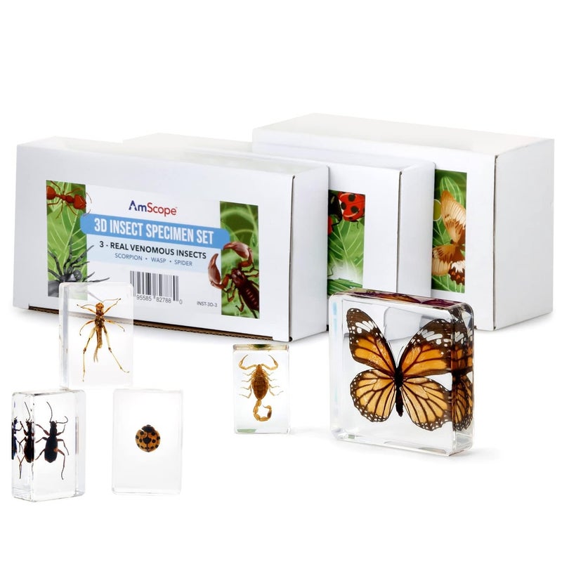AmScope AmScope 20X40X Student Stereo Microscope wPremium 9pc 3D Insect Specimen Kit and Optional Digital Camera  - Image 2