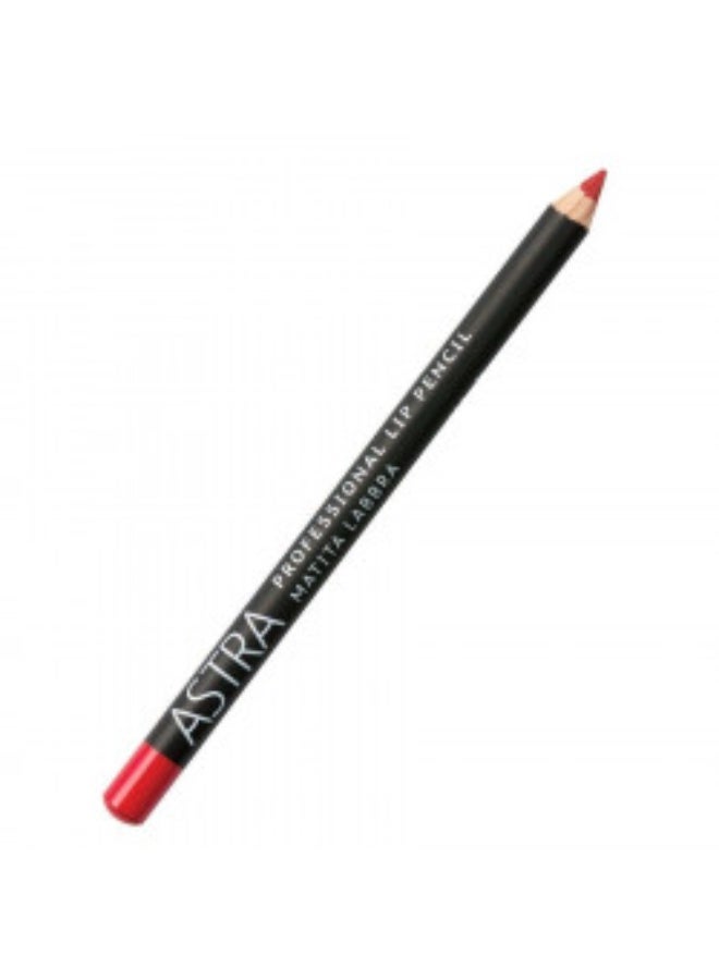 astra labbra Professional Lip Pencil 31 - Image 1