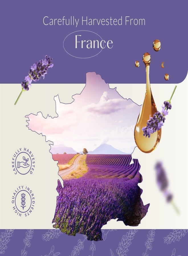HBNO California Bottled Dutch Lavender Essential Oil 4 fl oz (120ml) - Natural Lavender Oil for Skin, Perfect for Cleaning, Aromatherapy, DIY & Diffuser - Image 4