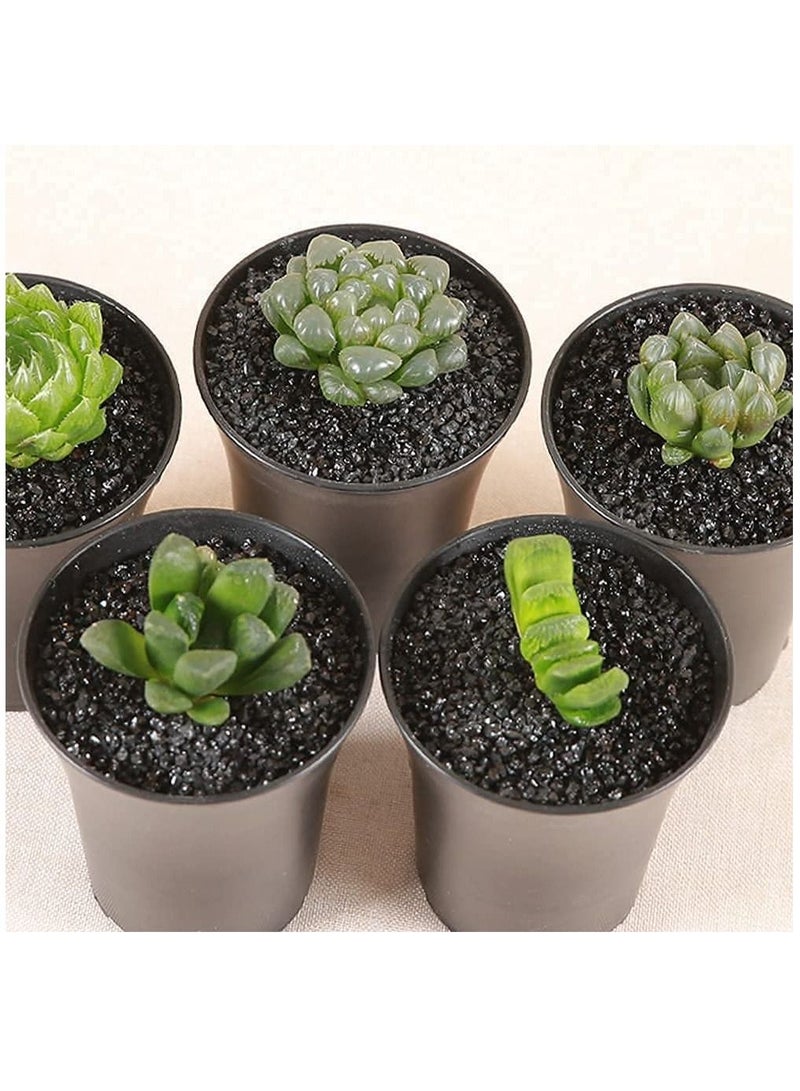 حصى زينة سوداء، حصى نهر طبيعي للنباتات، ديكور منزلي، حصى حوض السمك، حشوات المزهرية، حديقة الجنيات، أحجار تنسيق الحدائق الخارجية 3-5 مم (10 كجم) - Image 5