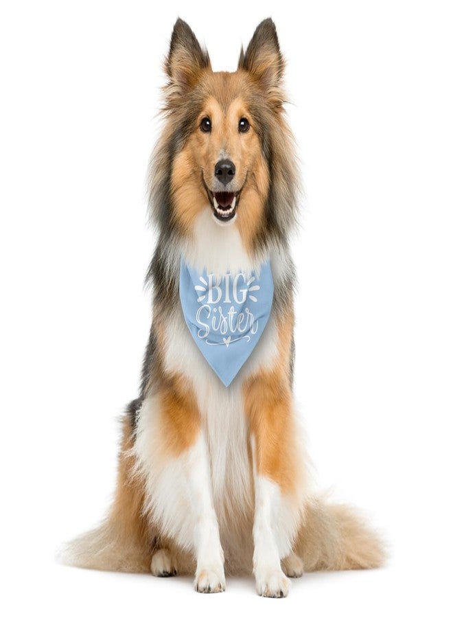ZPPRJF Big Sister Light Blue Dog Bandana for Large Dogs: Triangle Scarf - Baby Announcement, Dog Scarf Accessories (L) - Image 4