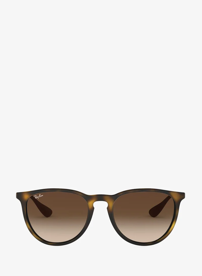 Ray-ban 0Rb4171 Oversized Sunglasses