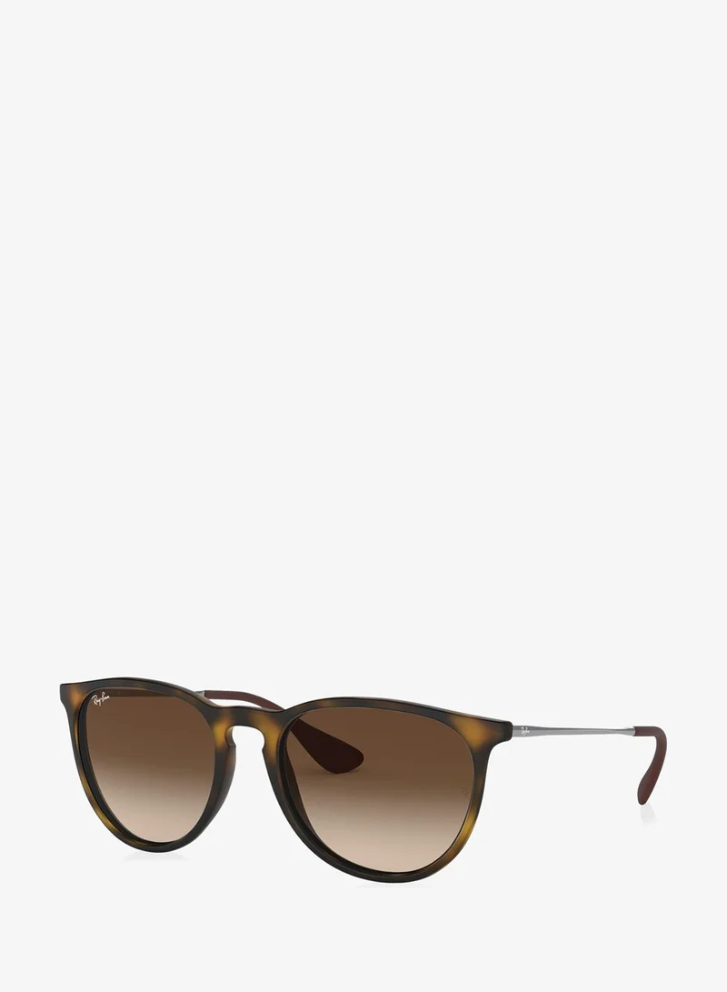 Ray-ban 0Rb4171 Oversized Sunglasses