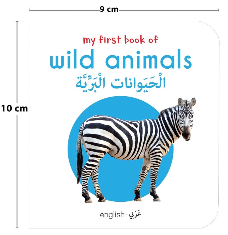 My First English-Arabic Learning Library: Bilingual Boxset of 10 Picture Board Books for Kids - Covers Basic Concepts and Everyday Topics - Image 5
