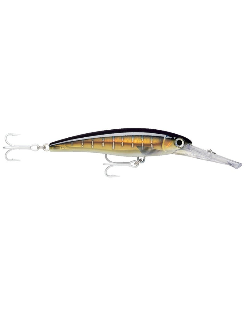 رابالا ربل  اكسرب  ماجنوم  20 ه د  سيلفيش  أ ف