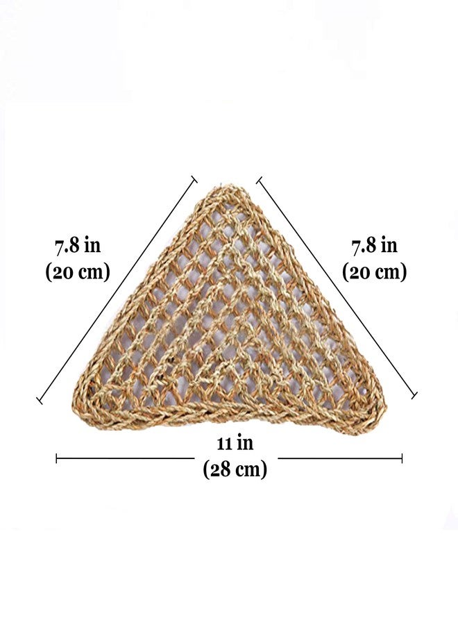 SunGrow Leopard Gecko, Hermit Crab, Reptile Hammock, 7.8 x 7.8 x 11 Inches, Handwoven, Includes 3 Suction Cups (1 Pieces (22 x 7 in)) - Image 5