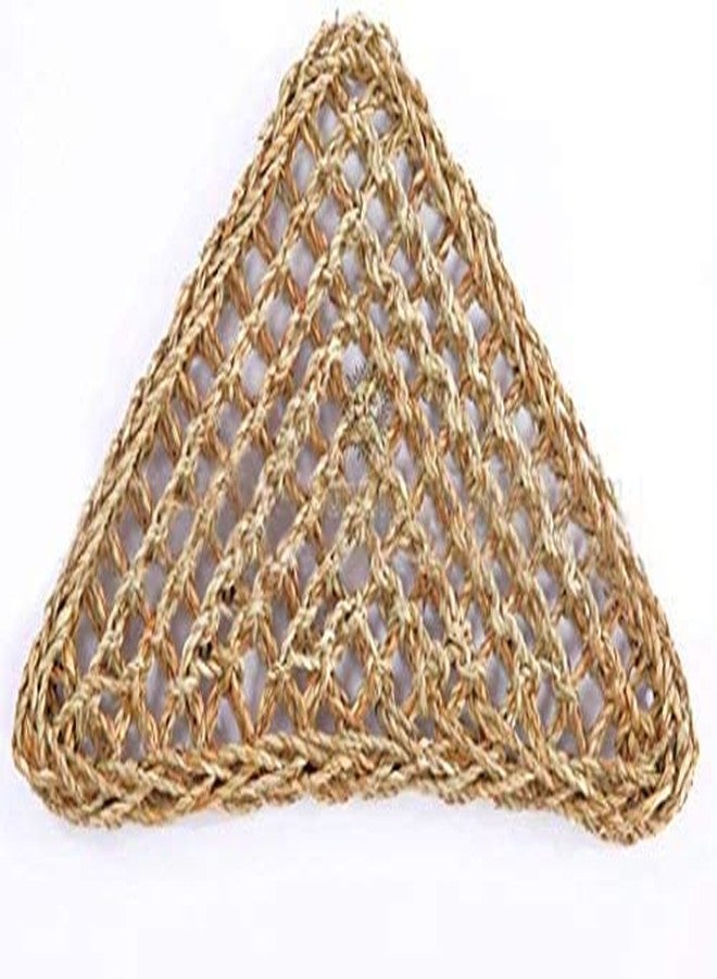 SunGrow Leopard Gecko, Hermit Crab, Reptile Hammock, 7.8 x 7.8 x 11 Inches, Handwoven, Includes 3 Suction Cups (1 Pieces (22 x 7 in)) - Image 2