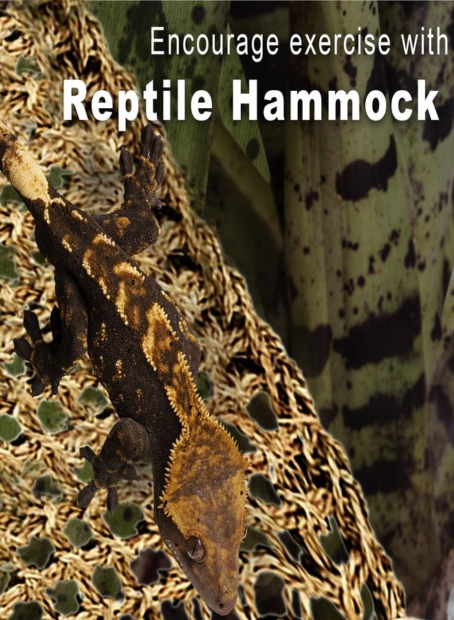 SunGrow Leopard Gecko, Hermit Crab, Reptile Hammock, 7.8 x 7.8 x 11 Inches, Handwoven, Includes 3 Suction Cups (1 Pieces (22 x 7 in)) - Image 3