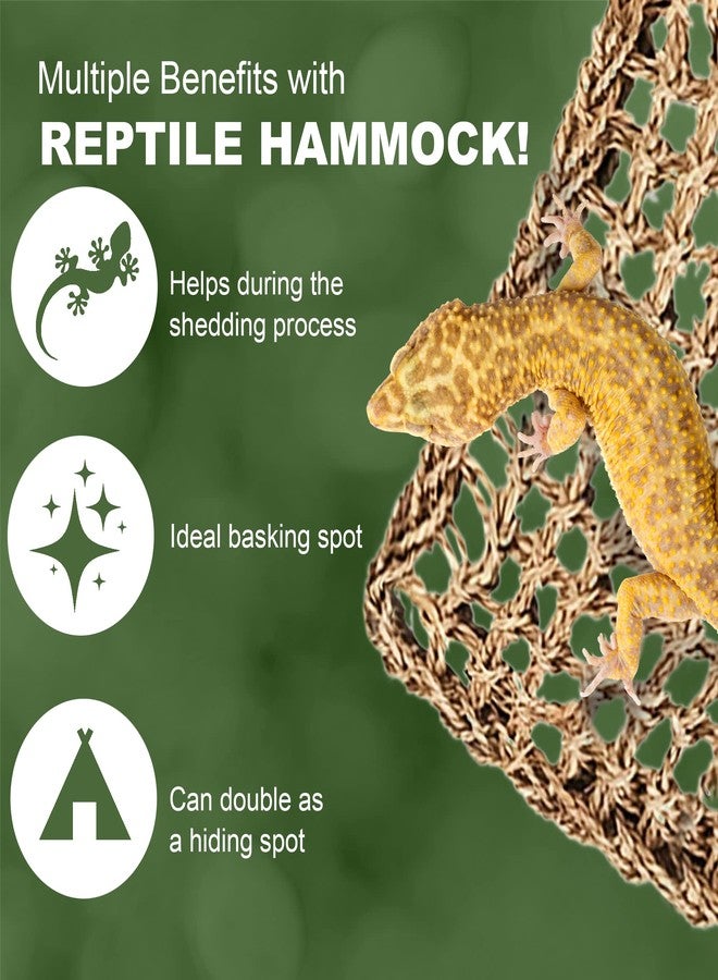 SunGrow Leopard Gecko, Hermit Crab, Reptile Hammock, 7.8 x 7.8 x 11 Inches, Handwoven, Includes 3 Suction Cups (1 Pieces (22 x 7 in)) - Image 4