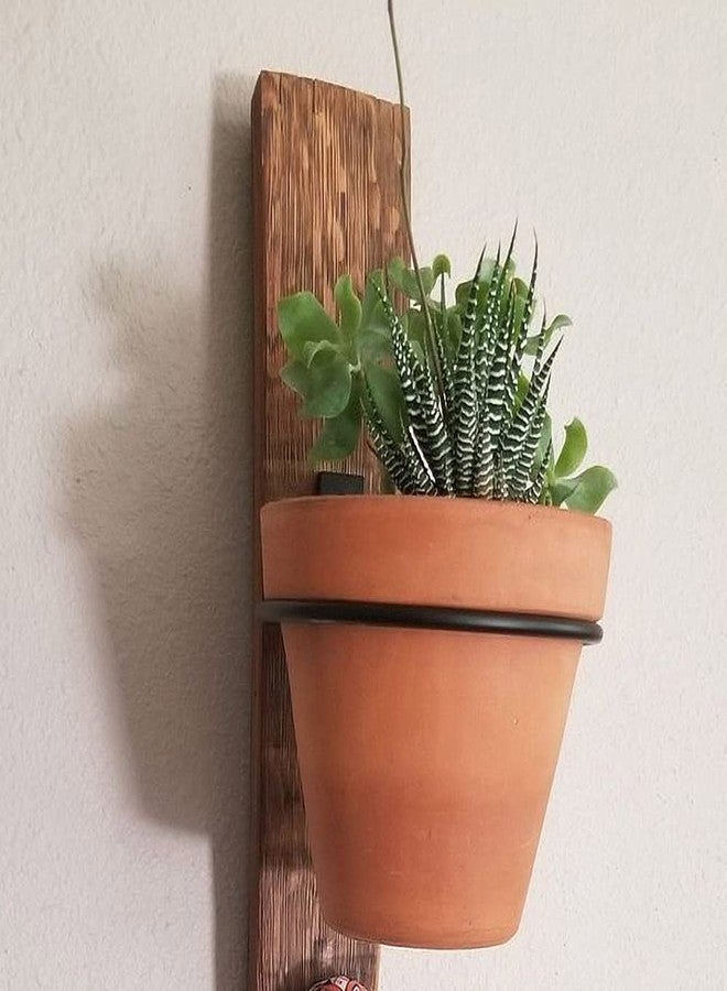 Sivya 6 Pack 4in Flower Pot Holder Ring Wall Mounted Metal Planter Hooks Hangers Wall Bracket - Image 4