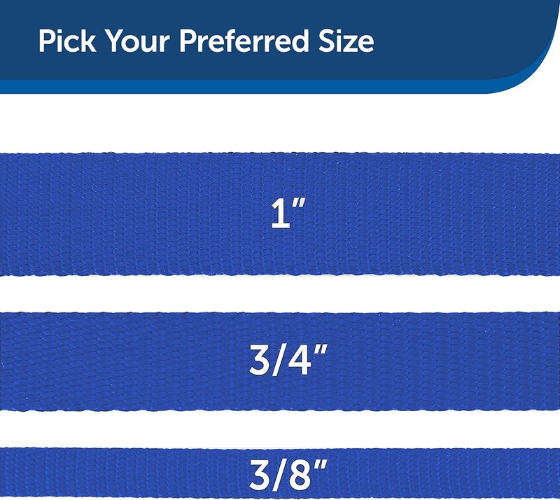 PetSafe Nylon Dog Leash - Strong and Durable 6 ft Leash with Easy to Use Bolt Snap in Royal Blue - Image 5