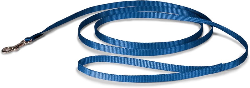 PetSafe Nylon Dog Leash - Strong and Durable 6 ft Leash with Easy to Use Bolt Snap in Royal Blue - Image 1
