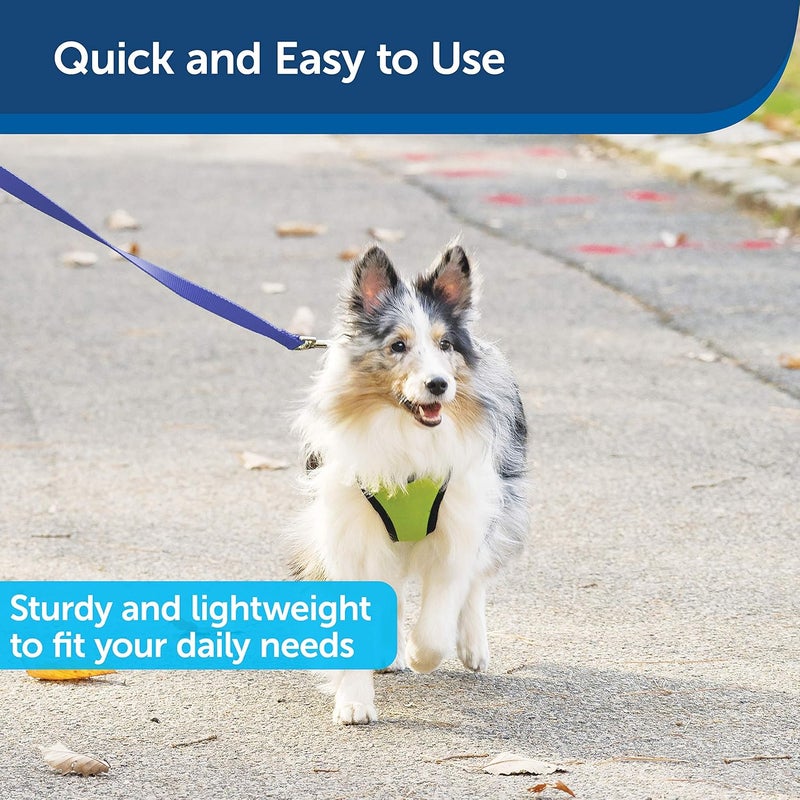 PetSafe Nylon Dog Leash - Strong and Durable 6 ft Leash with Easy to Use Bolt Snap in Royal Blue - Image 3
