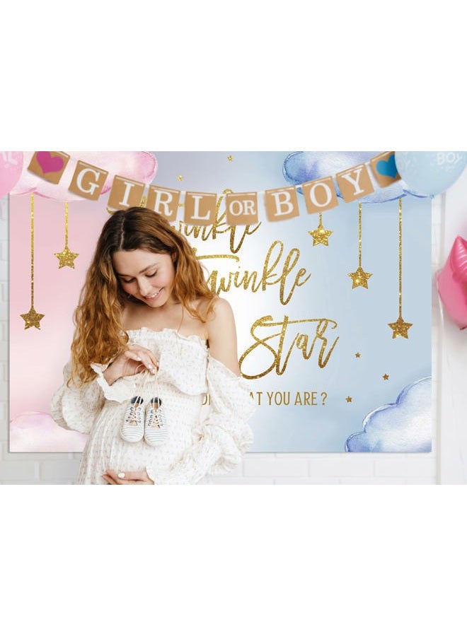 Lofaris Twinkle Twinkle Little Star Gender Reveal Backdrop Boy or Girl Pink or Blue How We Wonder What You are Golden Star Party Decoration Photography Background Cake Table Banner Wallpaper 7x5ft - Image 2