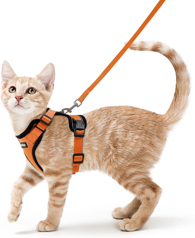 Rabbitgoo Cat Harness and Leash for Walking, Escape Proof Soft Adjustable Vest Harnesses for Cats, Easy Control Breathable Reflective Strips Jacket, Orange, XS (Chest: Chest: 13.5"-16") - Image 1