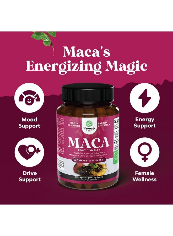 Natures Craft كبسولات جذر الماكا العضوي للنساء - مكمل عشبي قوي مع مزيج معزز للإناث من جذر الماكا الأحمر والأصفر والأسود - معتمد خالي من الكائنات المعدلة وراثيًا ونباتي وخالي من الغلوتين بدون ألوان صناعية - 120 حبة - Image 4