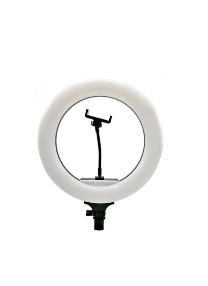Generic - Ring Light RL-14 Selfie Ring Light Led Lamp with Remote and Tripod Stand for TikTok Snapchat Youtube Online Streaming 14 Inch - Image 1