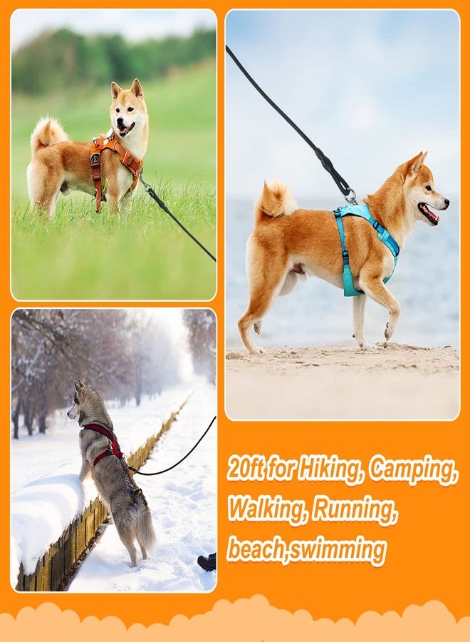 Vivifying Floating Long Dog Leash, 20ft Dog Training Leash, Check Cord Rope Lead with Comfortable Handle for Outside, Hiking, Swimming, Beach and Lake (Black) - Image 5