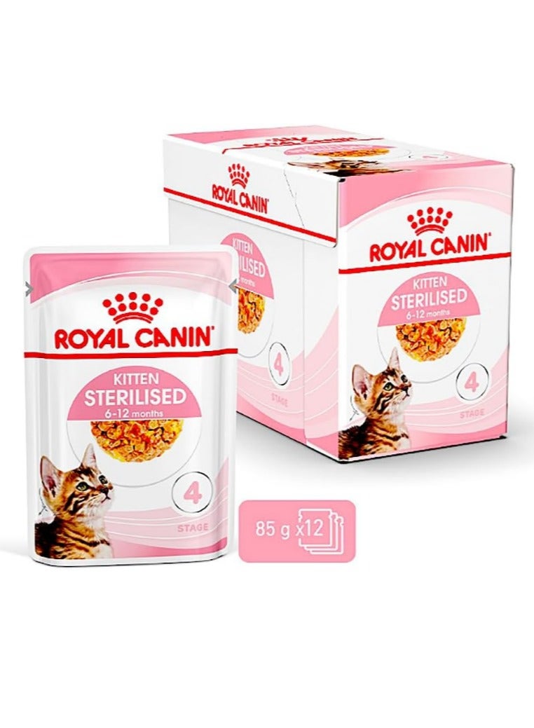 رويال كانين طعام رطب جيلي معقم للقطط من رويال كانين - أكياس 12 × 85 جرام - تغذية متخصصة للقطط المعقمة - Image 1