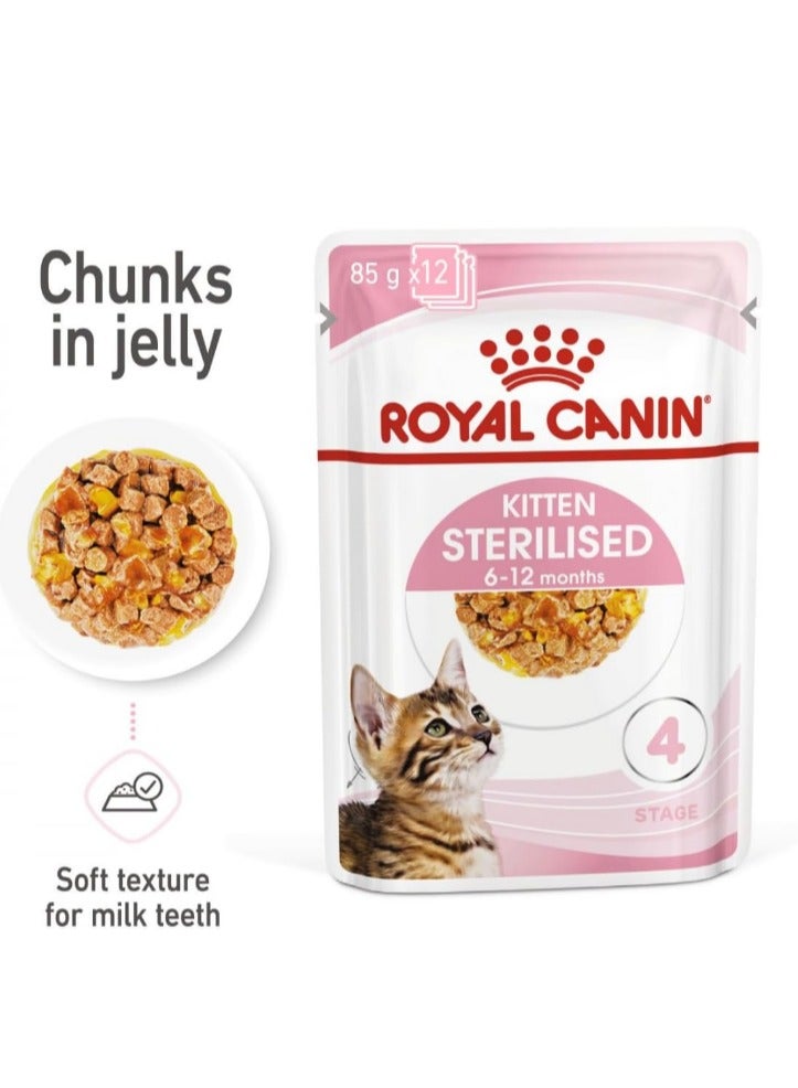 رويال كانين طعام رطب جيلي معقم للقطط من رويال كانين - أكياس 12 × 85 جرام - تغذية متخصصة للقطط المعقمة - Image 2