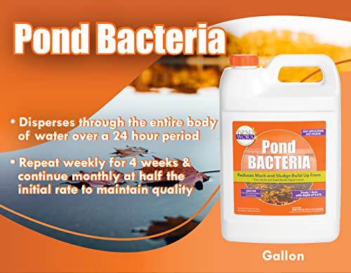 Pond Worx Pondworx Pond Bacteria - Formulated for Water Features and Safe for Koi (4 Gallon Value Pack) - Image 2