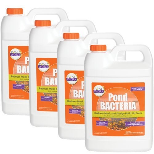 Pond Worx Pondworx Pond Bacteria - Formulated for Water Features and Safe for Koi (4 Gallon Value Pack) - Image 1
