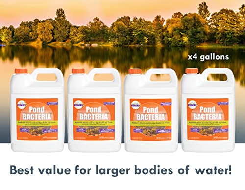 Pond Worx Pondworx Pond Bacteria - Formulated for Water Features and Safe for Koi (4 Gallon Value Pack) - Image 4