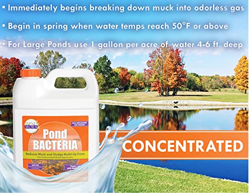 Pond Worx Pondworx Pond Bacteria - Formulated for Water Features and Safe for Koi (4 Gallon Value Pack) - Image 3