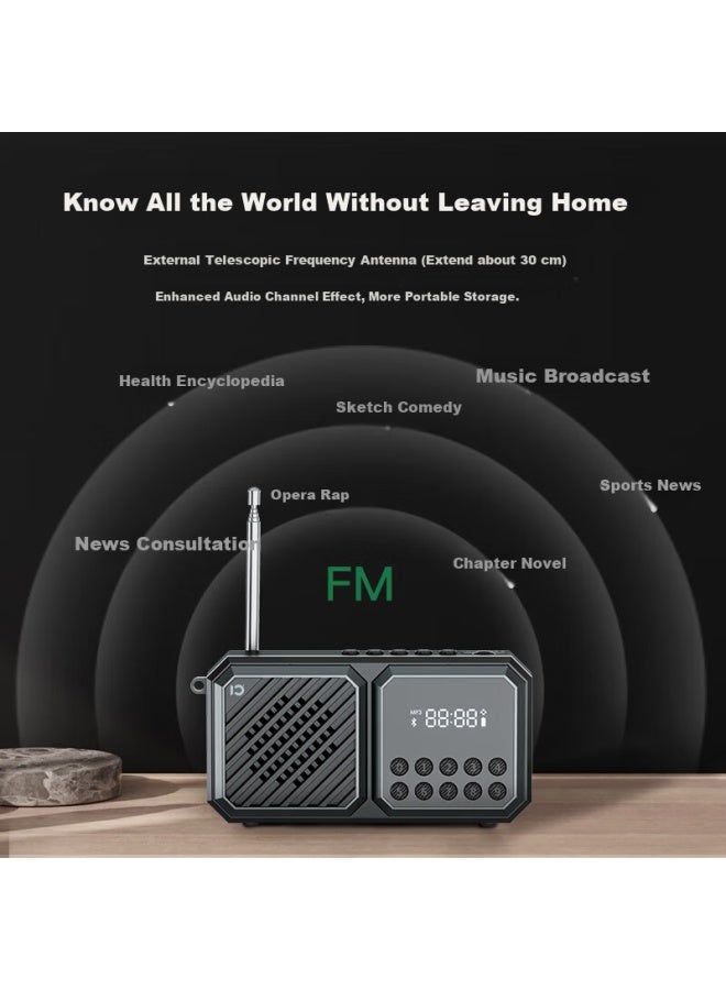 SHIDU F5 Radio, Elderly Audio, Bluetooth Multi-functional All-in Device, Play Music And Opera, Tf Card Insertable, Portable Speaker, Dream Blue - Image 5