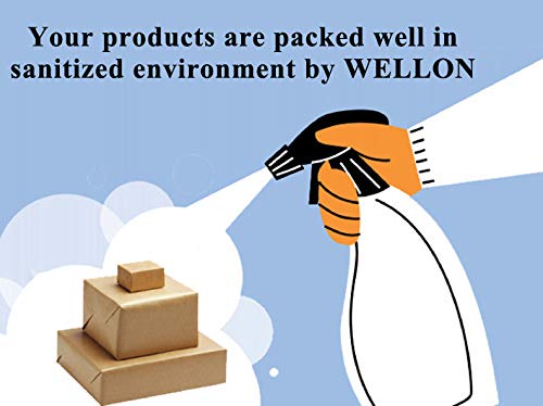 Wellon 10 LPH Open Flow RO Water Purifier HighPerformance Reverse Osmosis System - Image 3