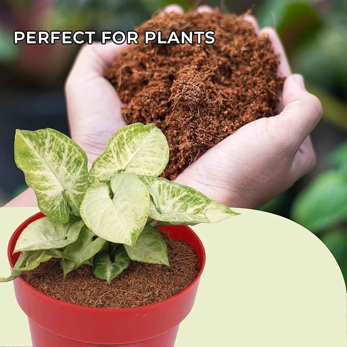 COIR GARDEN - Coco PEAT Powder – 4 KG - Image 2