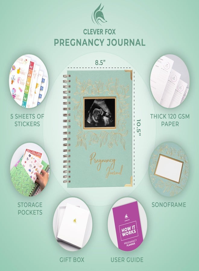 Clever Fox Pregnancy Journal & Memory Book - Pregnancy Planner & Notebook for Expecting Moms - Baby Keepsake, First Time Moms Gift (Mint Cream, 9" x 10.5" SonoFrame Edition) - Image 2