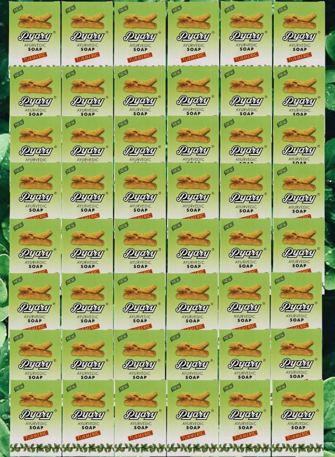 بياري 48 قطع صابون آيورفيدي كركم