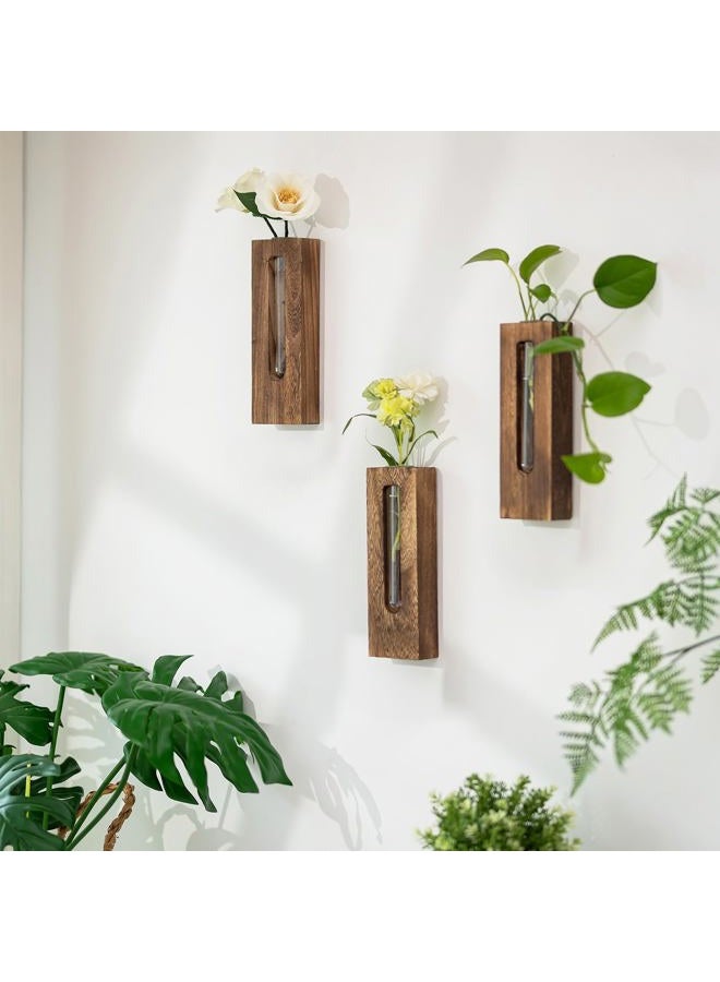 Walasis Wall Hanging Glass Planter Tubes - Propagation Station for Indoor Plants Hydroponic Plant Cuttings - Planters Gifts for Mom Wife Women Friend - Image 2