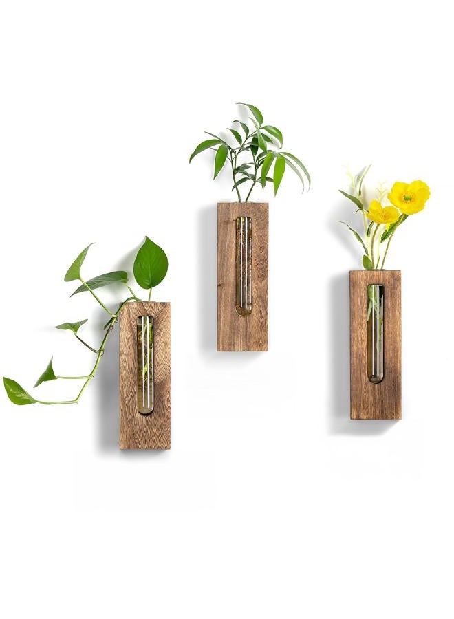 Walasis Wall Hanging Glass Planter Tubes - Propagation Station for Indoor Plants Hydroponic Plant Cuttings - Planters Gifts for Mom Wife Women Friend - Image 1