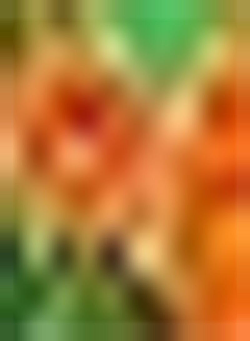 جي جوت 50 قطعة من بذور الكبوسين سهلة الإنبات، عطر مزهر يدوم طويلاً، متعدد البتلات، عطر جذاب، سلال زهور معلقة - Image 2