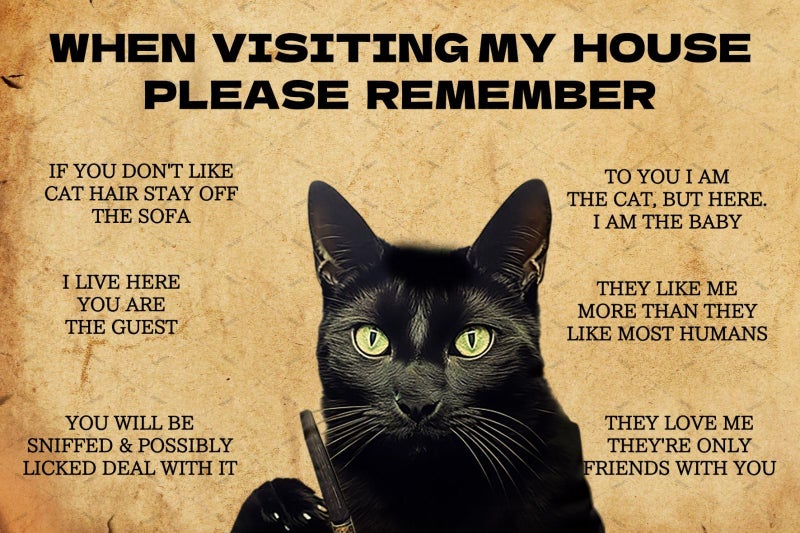 EMOHAT Black Cat Metal Tin Sign When Visiting My House Please Remember Black Cat's Signs Gifts for Cat Lovers 12x8 Inches - Image 1