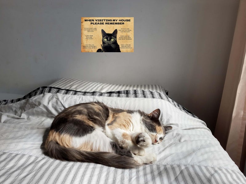 EMOHAT Black Cat Metal Tin Sign When Visiting My House Please Remember Black Cat's Signs Gifts for Cat Lovers 12x8 Inches - Image 3