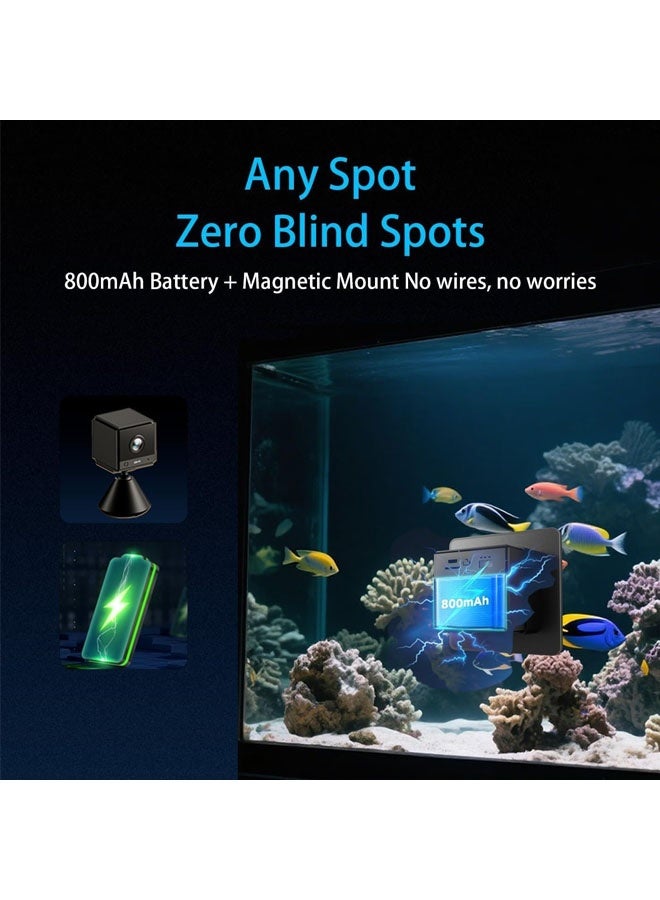 L&E 2K HD Aquarium & Terrarium WiFi Pet Camera,140° Wide-Angle Anti-Glare & Anti-Reflection,Night Vision for Fish & Reptiles,Two-Way Audio,Easy & Quick Install,AI-Powered Detection,24/7 Recording - Image 4