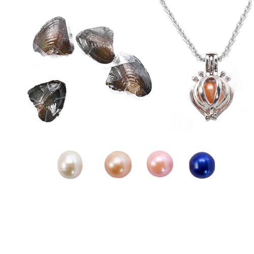 POSHOPS Natural Oyster PearlFreshwater Oval Pearls Cultured Oysters Love Wish Pearls DIY Necklace Making Kit Anniversary Decoration for Jewelry Making Gifts 4PCsLot Lantern Necklace - Image 1