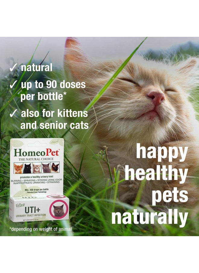 HomeoPet - Feline Uti Plus UrinaryTract Relief, UrinaryTract Support For Cats, 15 Milliliters - Image 1