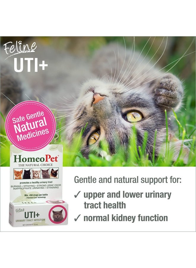 HomeoPet - Feline Uti Plus UrinaryTract Relief, UrinaryTract Support For Cats, 15 Milliliters - Image 1