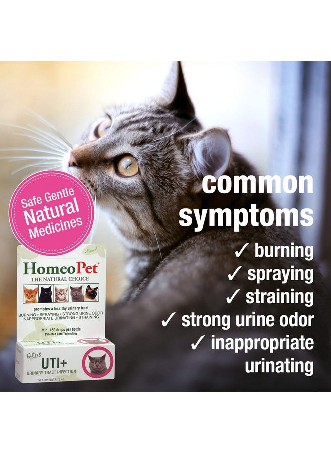 HomeoPet - Feline Uti Plus UrinaryTract Relief, UrinaryTract Support For Cats, 15 Milliliters - Image 1