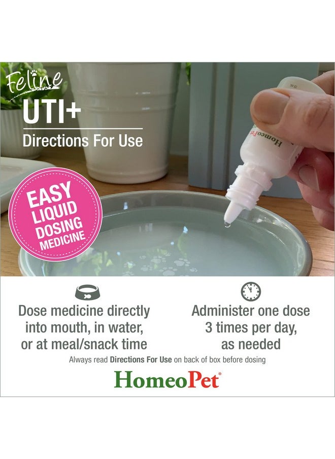 HomeoPet - Feline Uti Plus UrinaryTract Relief, UrinaryTract Support For Cats, 15 Milliliters - Image 1