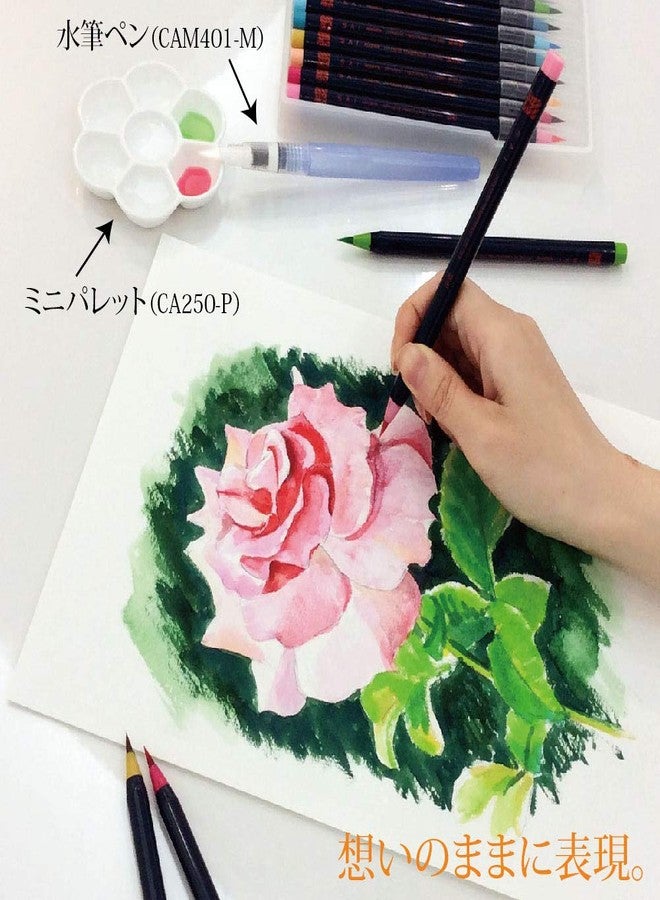 Akashiya Fude Brush Pen Sai, 5 Winter Color Set (CA200/5VD) - Image 5