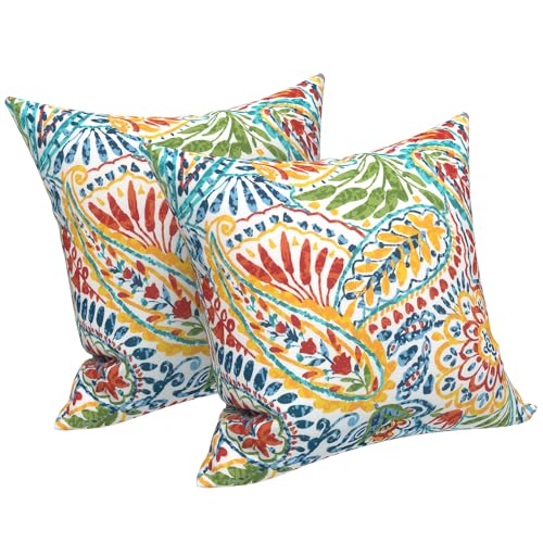 LVTXIII Outdoor Throw Pillow Covers 18 x 18 Inch Covers ONLY Modern Paisley Pattern Decorative Square Toss Pillow Case Pack of 2 for Home Patio Garden Sofa Bed Furniture Paisley Multi